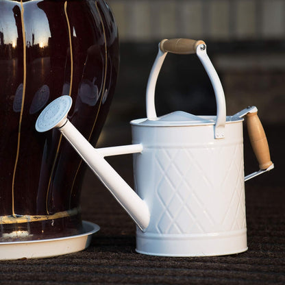 1 Gallon Red Metal Watering Can, Removable Spout