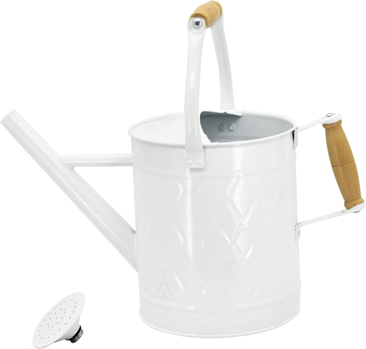 1 Gallon Red Metal Watering Can, Removable Spout