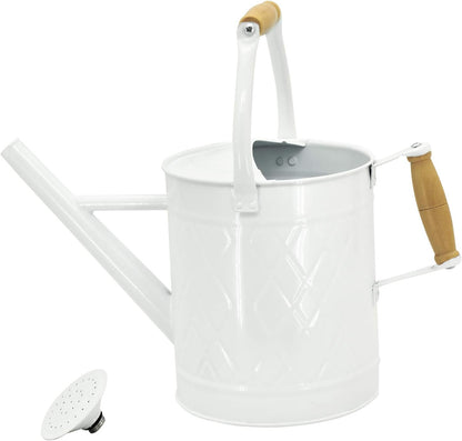 1 Gallon Red Metal Watering Can, Removable Spout