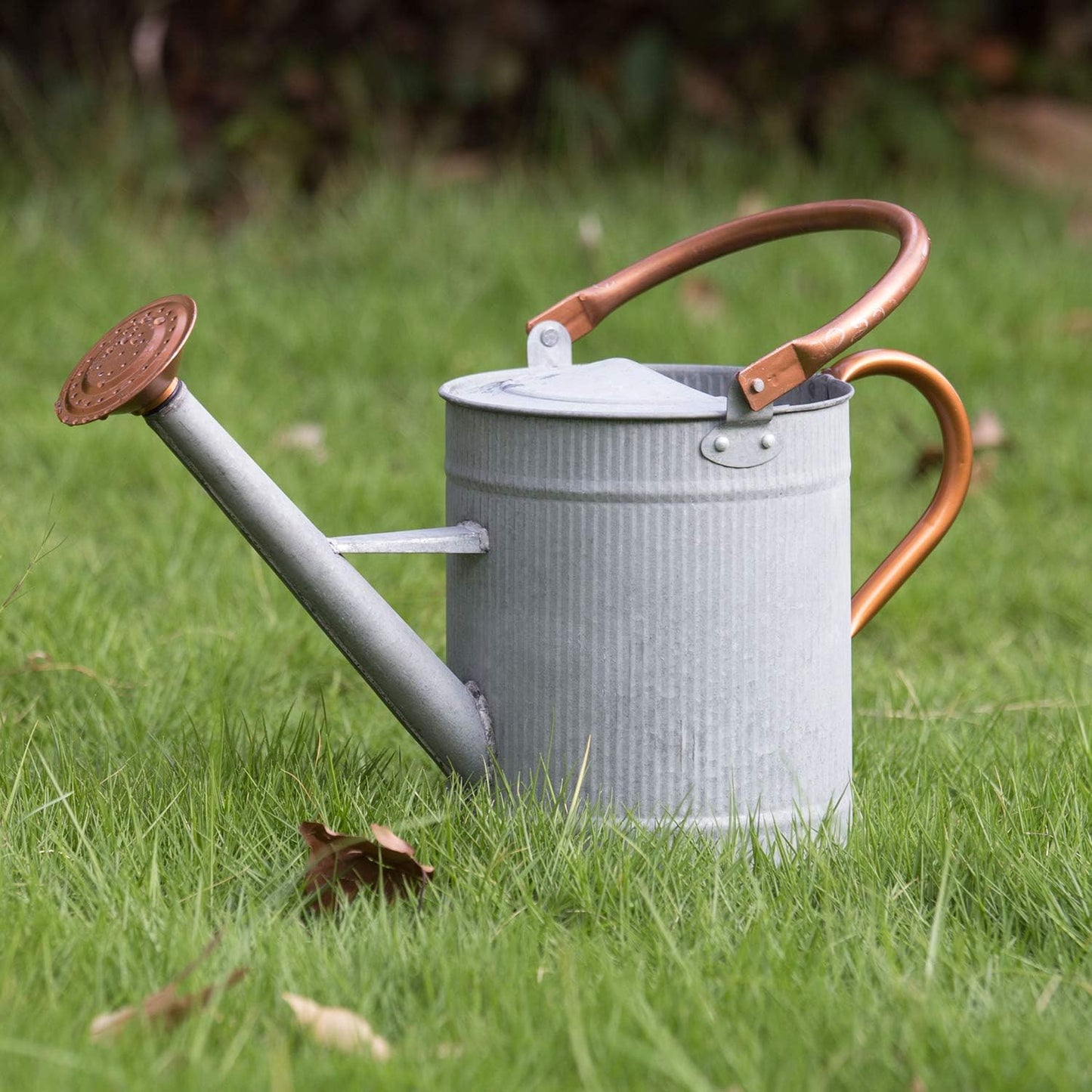 1 Gallon Red Metal Watering Can, Removable Spout