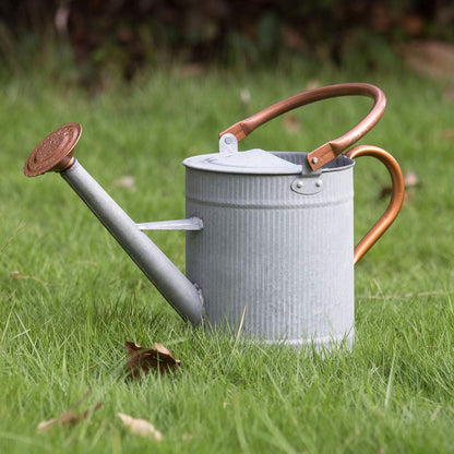 1 Gallon Red Metal Watering Can, Removable Spout
