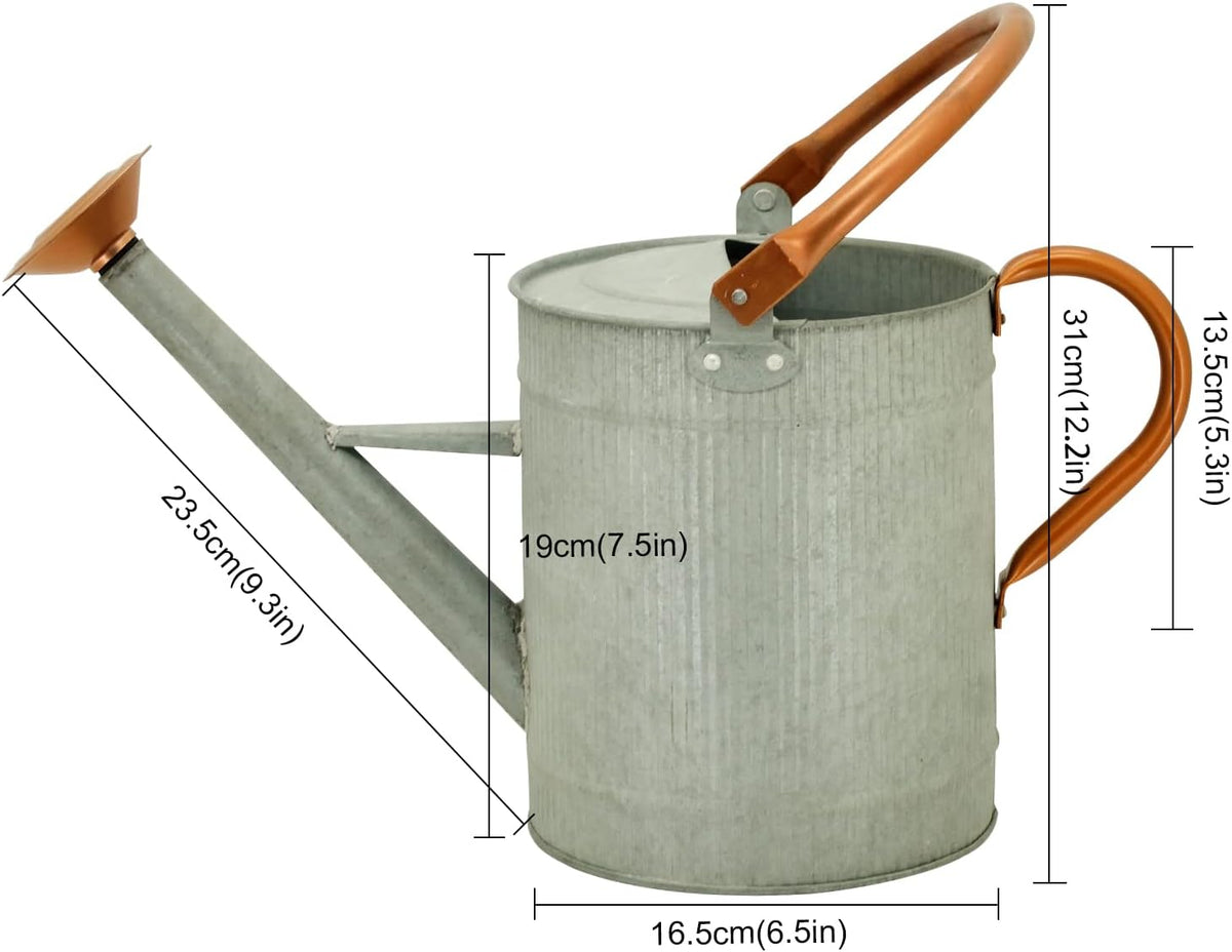 1 Gallon Red Metal Watering Can, Removable Spout