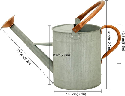 1 Gallon Red Metal Watering Can, Removable Spout