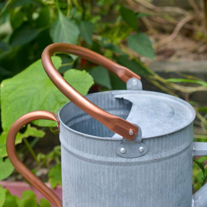 1 Gallon Red Metal Watering Can, Removable Spout