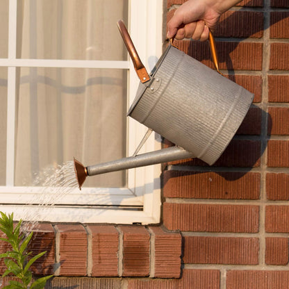 1 Gallon Red Metal Watering Can, Removable Spout