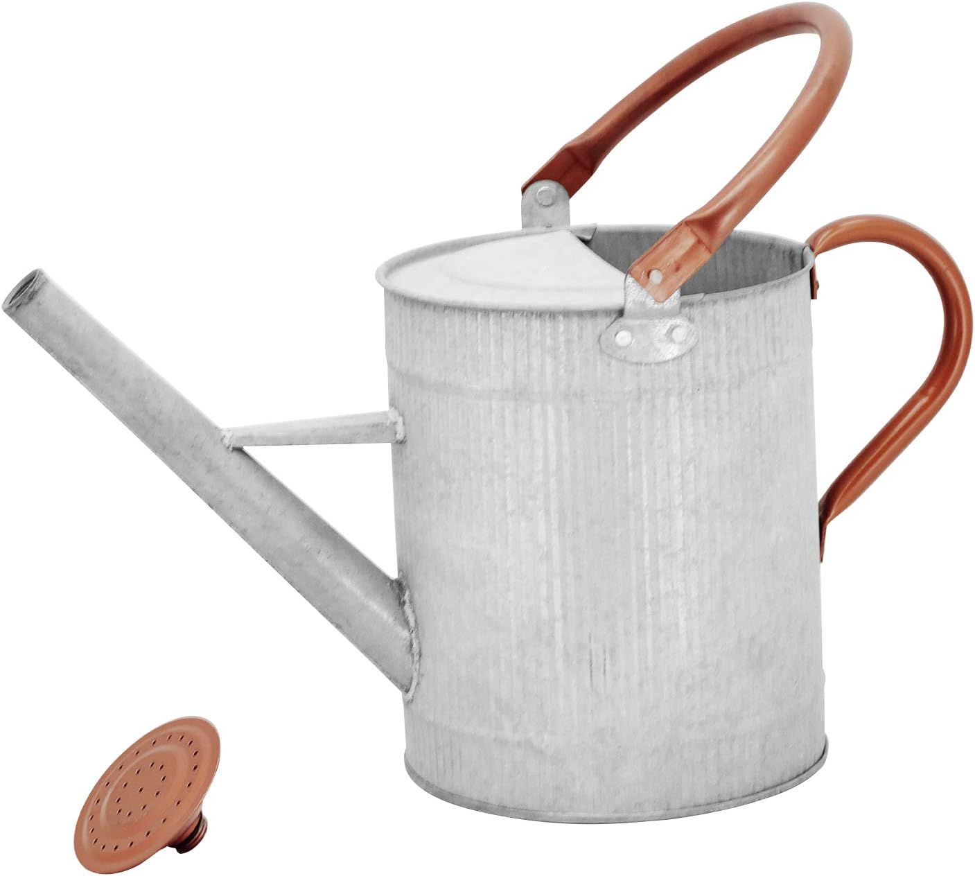 1 Gallon Red Metal Watering Can, Removable Spout