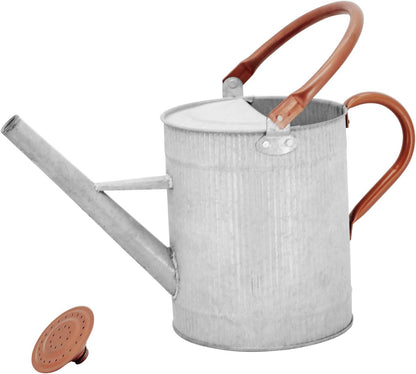 1 Gallon Red Metal Watering Can, Removable Spout