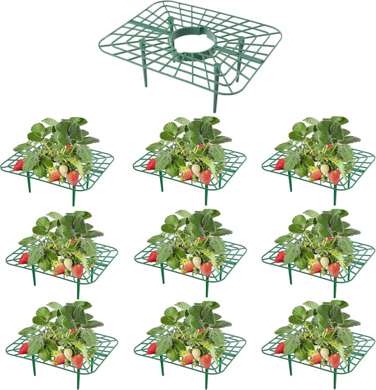 10-Packs Strawberry Plant Support, Reusable Strawberry Garden Trellis & Plant Holder-Keeps Berries Off the Ground for Pots & Backyard Raised Bed Gardens Home Gardeners