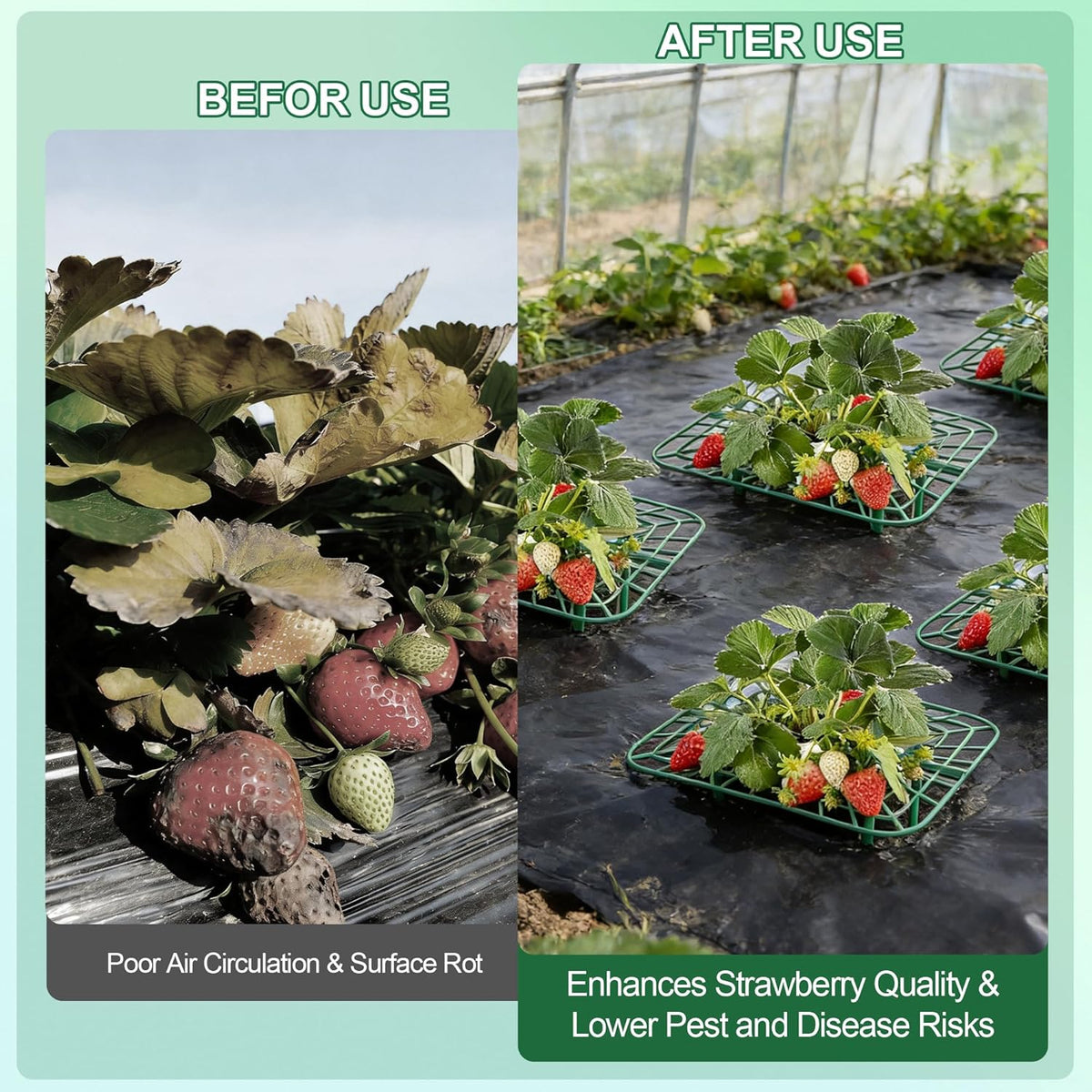 10-Packs Strawberry Plant Support, Reusable Strawberry Garden Trellis & Plant Holder-Keeps Berries Off the Ground for Pots & Backyard Raised Bed Gardens Home Gardeners