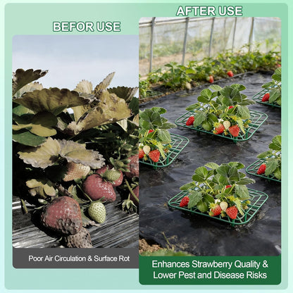 10-Packs Strawberry Plant Support, Reusable Strawberry Garden Trellis & Plant Holder-Keeps Berries Off the Ground for Pots & Backyard Raised Bed Gardens Home Gardeners