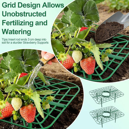 10-Packs Strawberry Plant Support, Reusable Strawberry Garden Trellis & Plant Holder-Keeps Berries Off the Ground for Pots & Backyard Raised Bed Gardens Home Gardeners