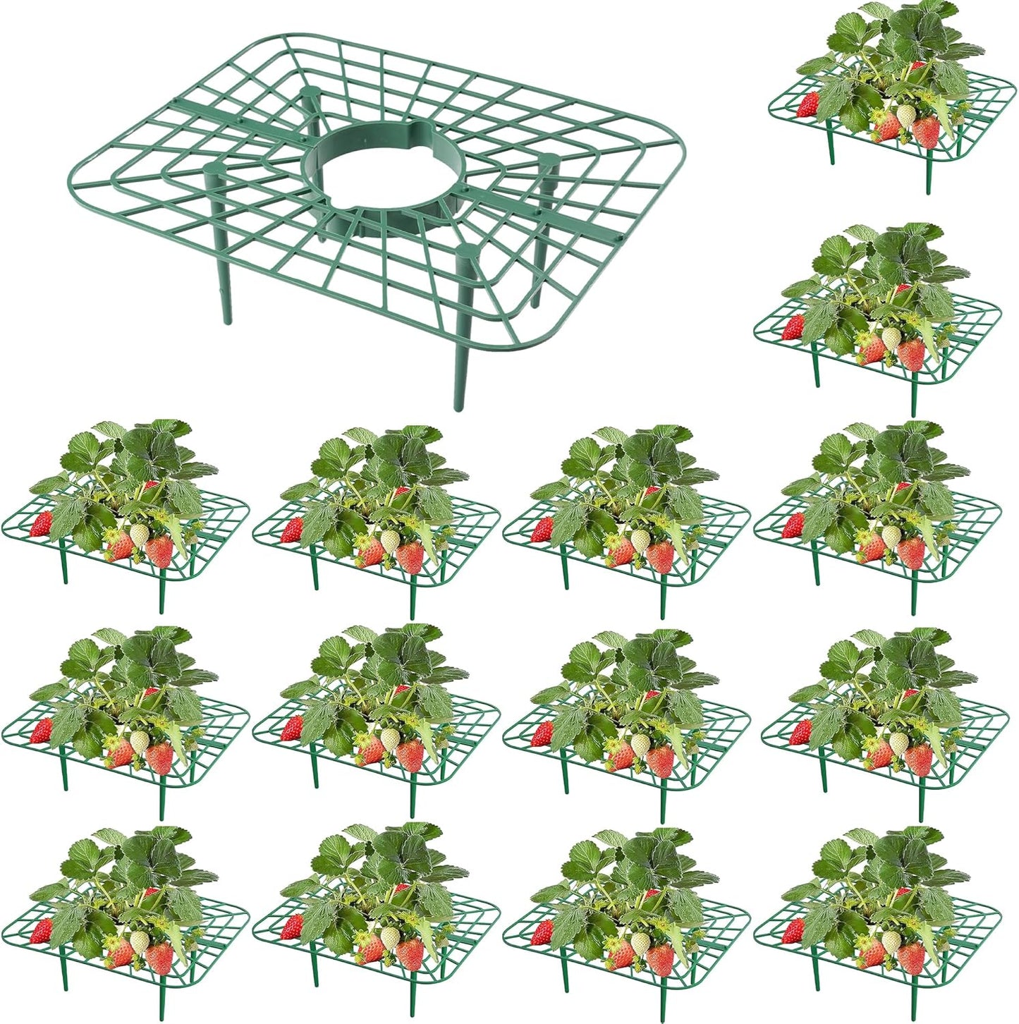 10-Packs Strawberry Plant Support, Reusable Strawberry Garden Trellis & Plant Holder-Keeps Berries Off the Ground for Pots & Backyard Raised Bed Gardens Home Gardeners