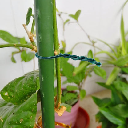 Green Garden Wire 2mm- 100 Feet Garden Plant Ties Plant Wire for Climbing Plants Plants Twist Ties for Tomatoes Support Vines Vegetables Flowers Indoor & Outdoor Gardening Training