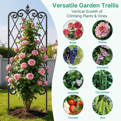 Amagabeli Garden Trellis for Climbing Plants 47” x 16” Rustproof Black Iron Plant Trellis Potted Vines Vegetables Flowers Patio Metal Wire Lattices Grid Panels for Ivy Cucumbers Clematis 2 Pack GT03