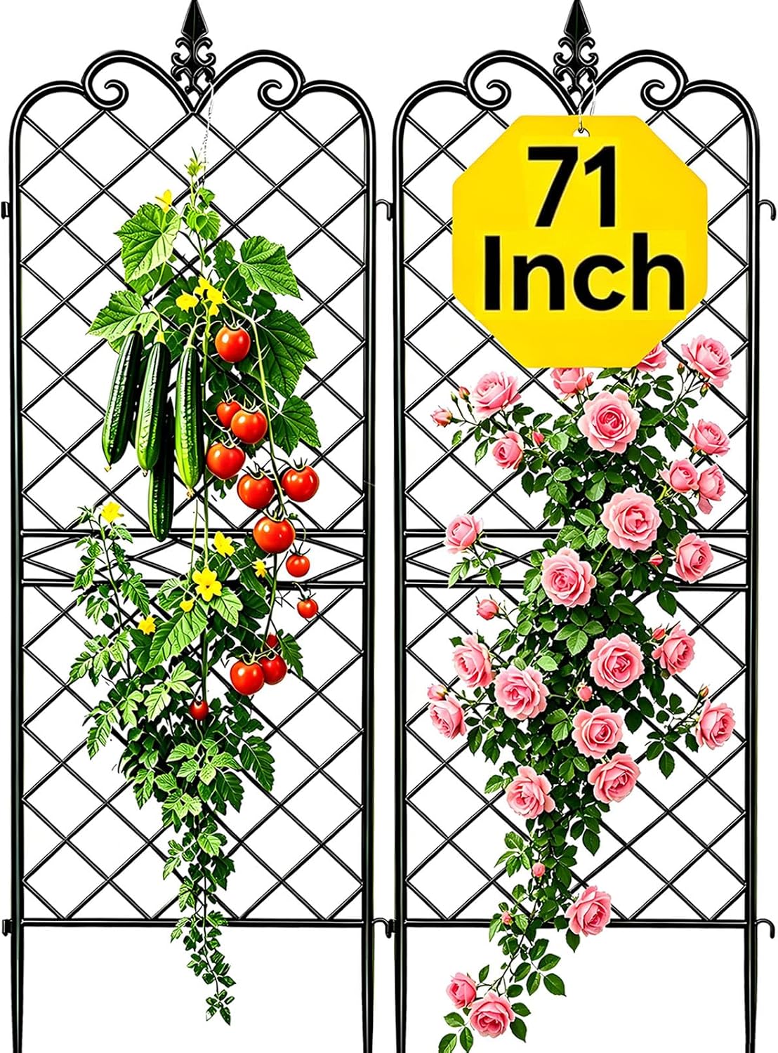 Amagabeli Garden Trellis for Climbing Plants 47” x 16” Rustproof Black Iron Plant Trellis Potted Vines Vegetables Flowers Patio Metal Wire Lattices Grid Panels for Ivy Cucumbers Clematis 2 Pack GT03