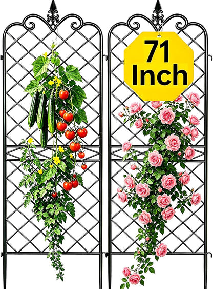 Amagabeli Garden Trellis for Climbing Plants 47” x 16” Rustproof Black Iron Plant Trellis Potted Vines Vegetables Flowers Patio Metal Wire Lattices Grid Panels for Ivy Cucumbers Clematis 2 Pack GT03