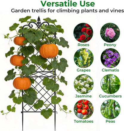 Amagabeli Garden Trellis for Climbing Plants 47” x 16” Rustproof Black Iron Plant Trellis Potted Vines Vegetables Flowers Patio Metal Wire Lattices Grid Panels for Ivy Cucumbers Clematis 2 Pack GT03