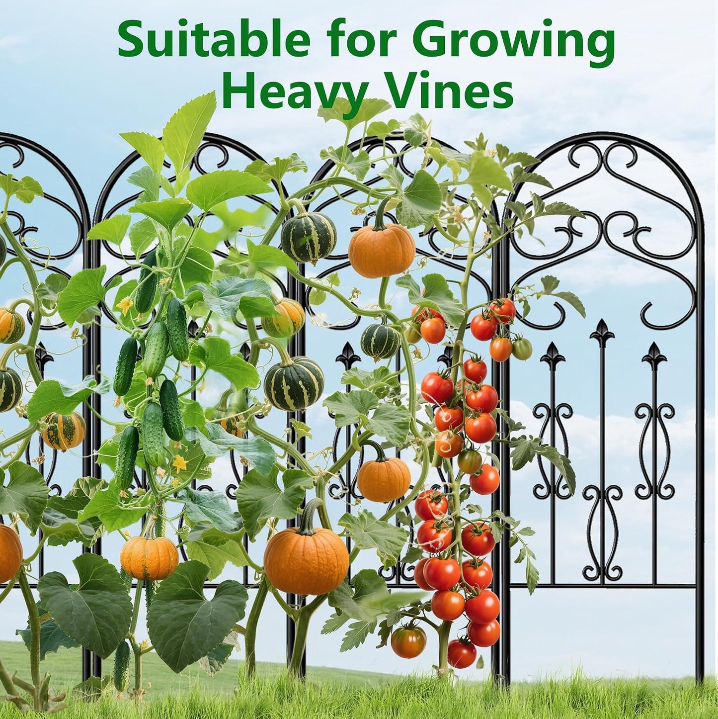 Amagabeli Garden Trellis for Climbing Plants 47” x 16” Rustproof Black Iron Plant Trellis Potted Vines Vegetables Flowers Patio Metal Wire Lattices Grid Panels for Ivy Cucumbers Clematis 2 Pack GT03