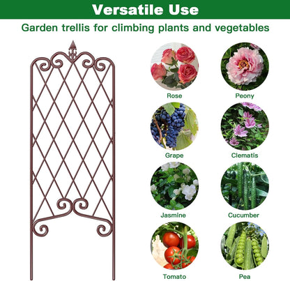Amagabeli Garden Trellis for Climbing Plants 47” x 16” Rustproof Black Iron Plant Trellis Potted Vines Vegetables Flowers Patio Metal Wire Lattices Grid Panels for Ivy Cucumbers Clematis 2 Pack GT03