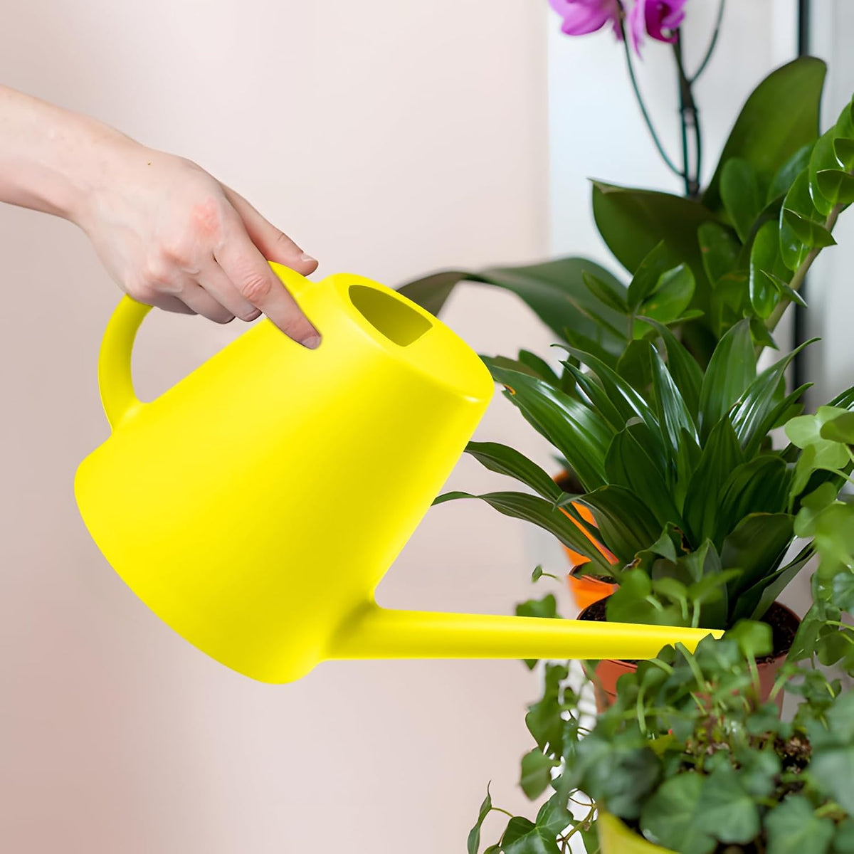 Plant Watering Cans for Indoor and Outdoor Home Garden Plants - with Long Spout - Blackish Green - 1/2 Gallon