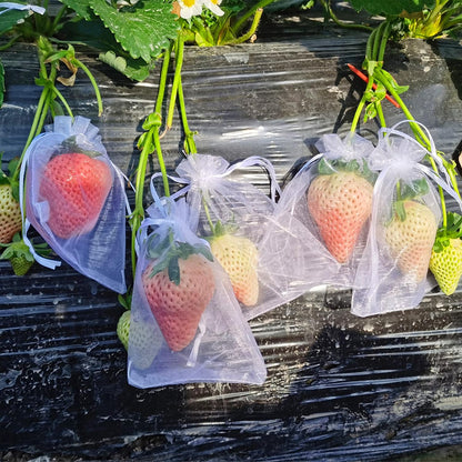 6x8 Inch 100 Pieces Green Fruit Protection Bags- Fruit Netting Bags with Drawstring,Garden Fruit Cover Mesh Bag to Protect Plants from Pest Birds Squirrels
