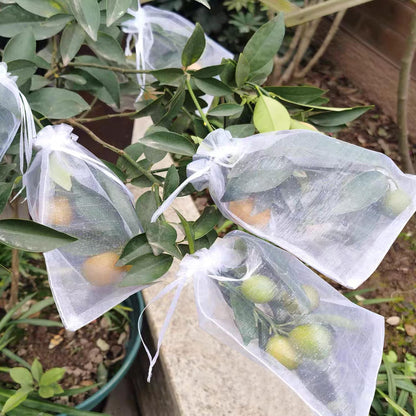 6x8 Inch 100 Pieces Green Fruit Protection Bags- Fruit Netting Bags with Drawstring,Garden Fruit Cover Mesh Bag to Protect Plants from Pest Birds Squirrels