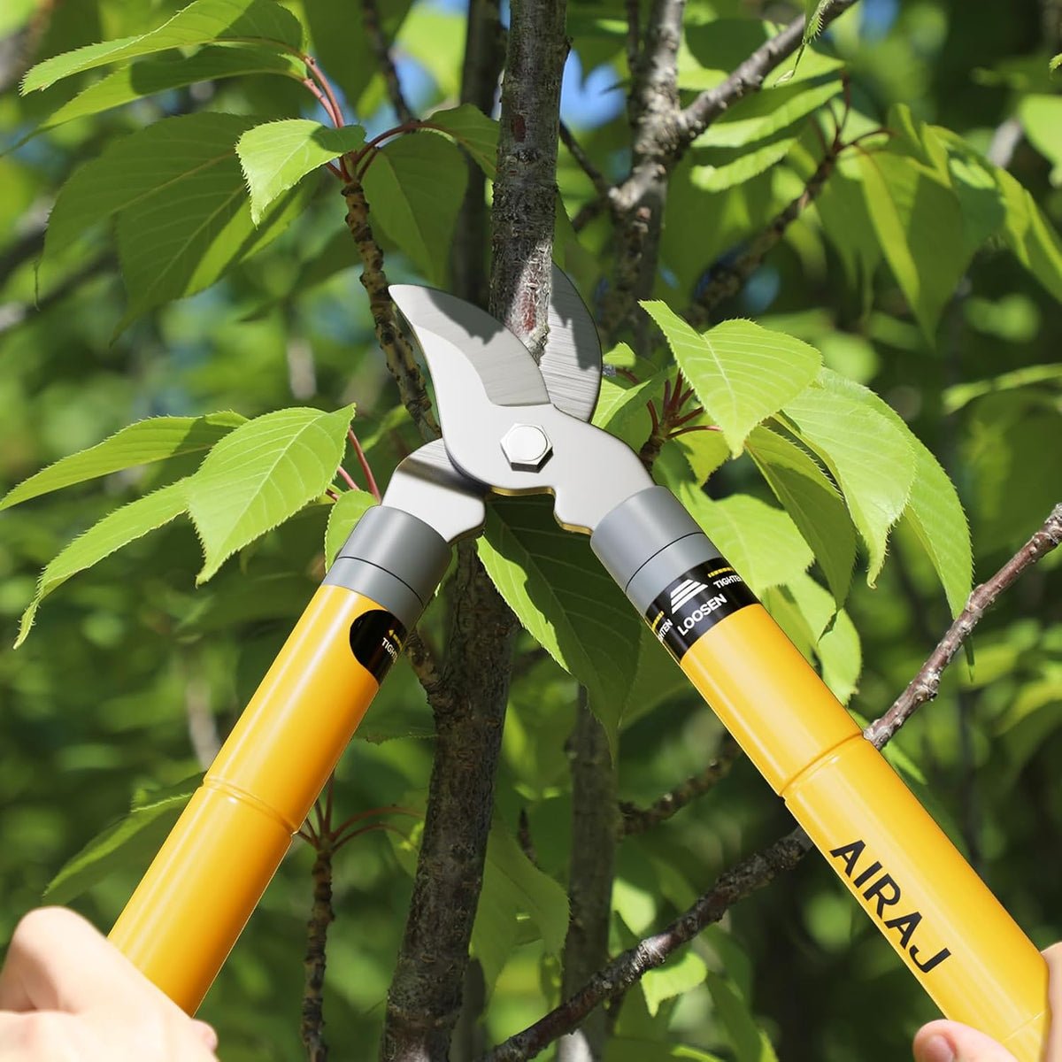 16-24" Tree Loppers for Gardening, 1.5” Cut Tree Trimmer Garden Tools