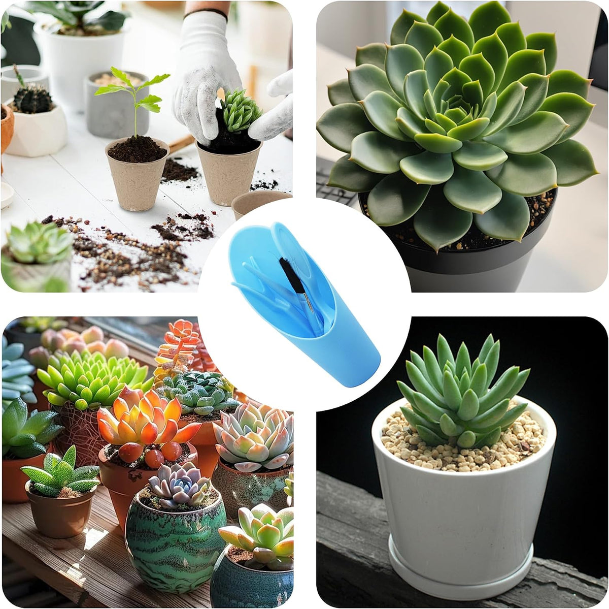 5Pcs Mini Succulent Tools Set, Plastic Garden Hand Tools Kit for Indoor Plant Care, Succulent Bonsai Miniature Garden Tool Set,Small Gardening Tools for Transplanting Digging Planting, Black