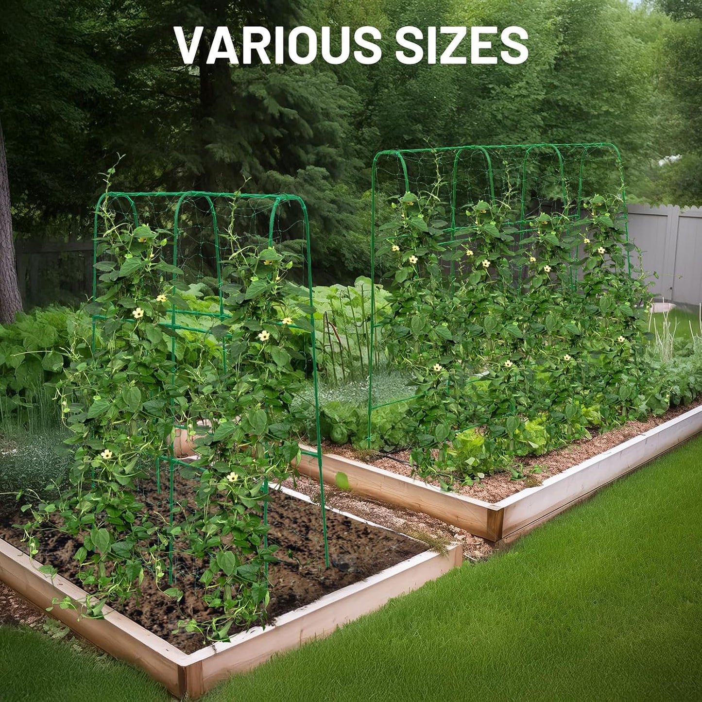 Large A-Frame Garden Trellis for Tomatoes, Cucumbers & Heavy Climbing Plants - Rust-Resistant, Heavy-Duty Steel, Perfect for Outdoor Gardens & Vertical Gardening(47" W x 63" H)