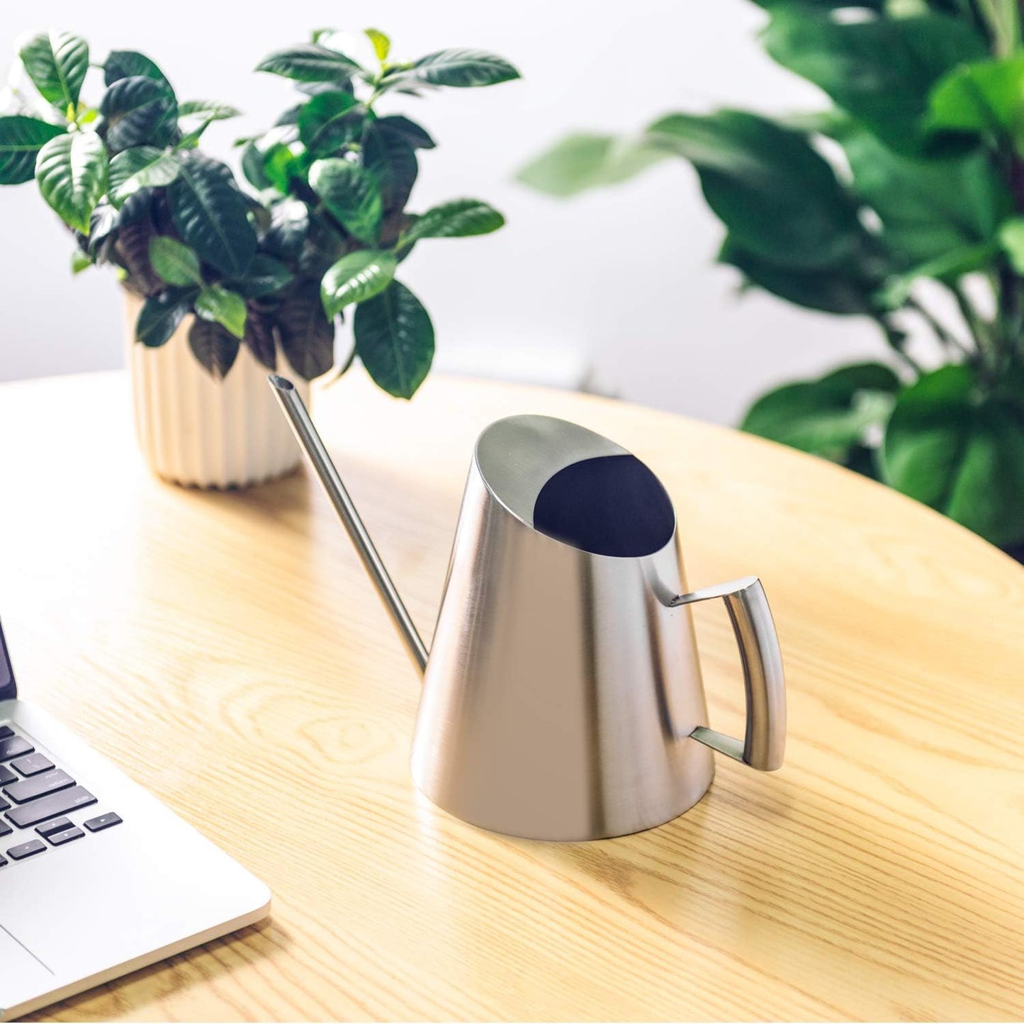 Stainless Steel Indoor Watering Can with Long Spout Modern Watering Can for Small Indoor Plants, 50oz / 1.5L Maximum Capacity