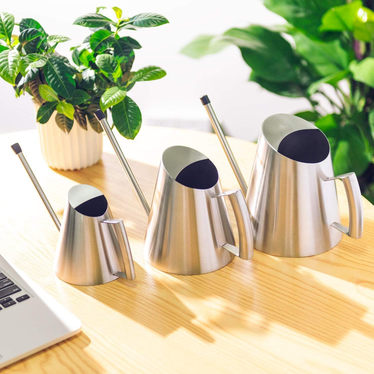 Stainless Steel Indoor Watering Can with Long Spout Modern Watering Can for Small Indoor Plants, 50oz / 1.5L Maximum Capacity