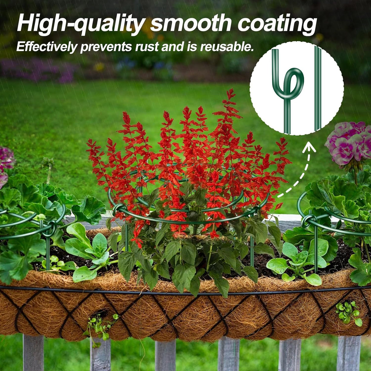 8 Pack Peony Cages and Supports with Plant Support Stakes for Outdoor Indoor Plants 12" D 16" High Tall Heavy Duty Metal Peony Support Cage Ring for Peony Rose Flower Tomato Hydrangea