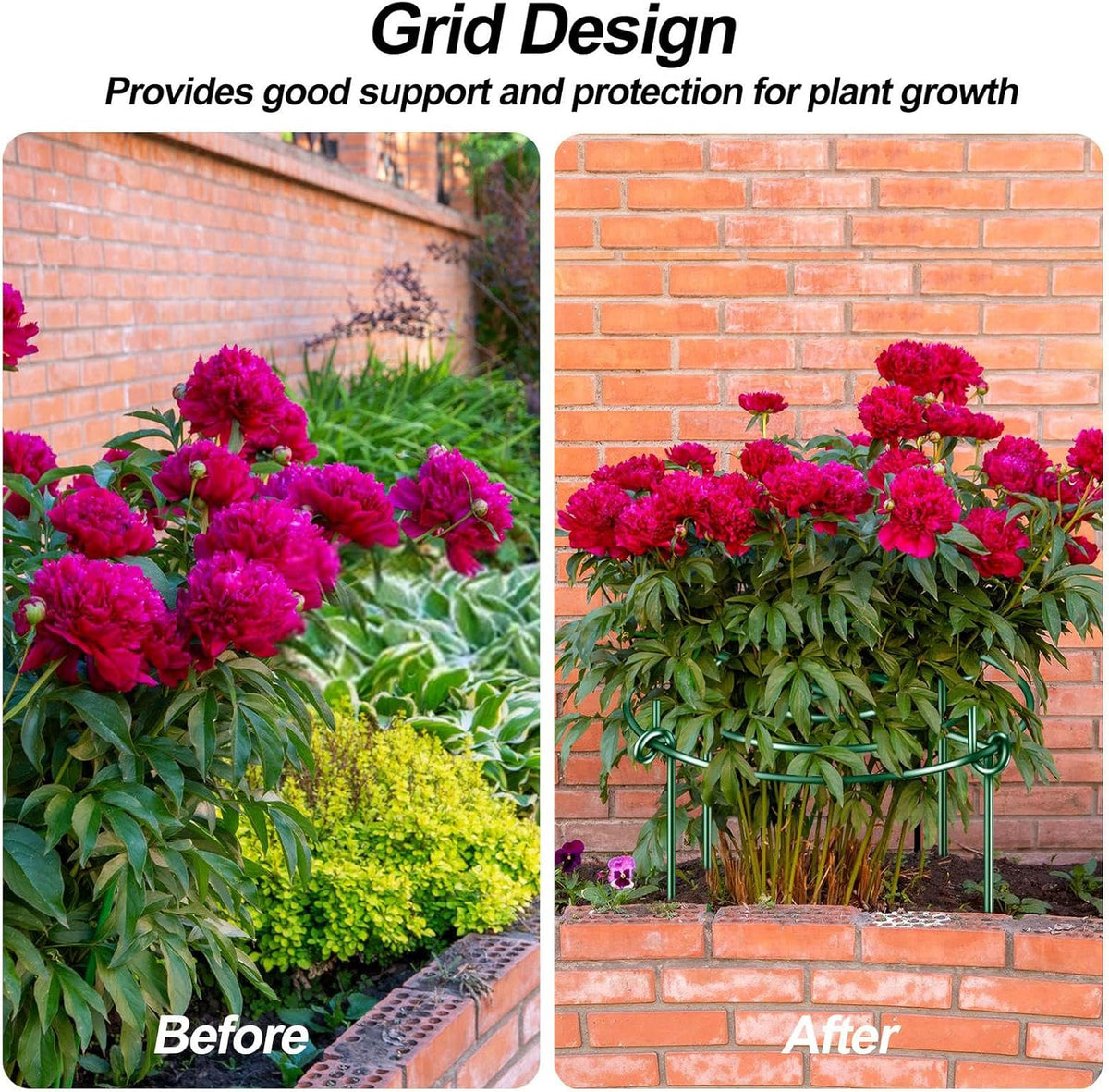 8 Pack Peony Cages and Supports with Plant Support Stakes for Outdoor Indoor Plants 12" D 16" High Tall Heavy Duty Metal Peony Support Cage Ring for Peony Rose Flower Tomato Hydrangea