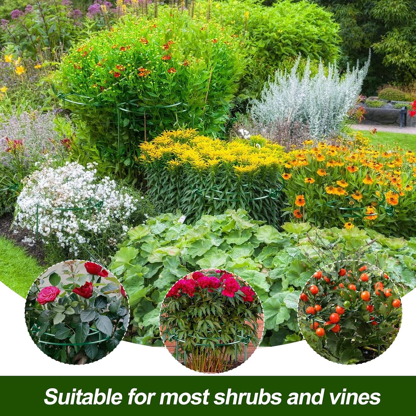 8 Pack Peony Cages and Supports with Plant Support Stakes for Outdoor Indoor Plants 12" D 16" High Tall Heavy Duty Metal Peony Support Cage Ring for Peony Rose Flower Tomato Hydrangea
