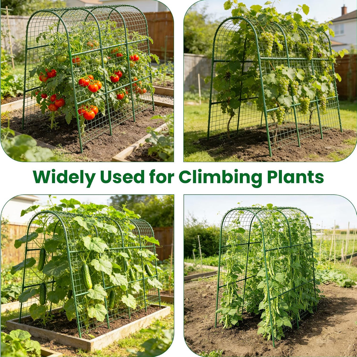 Cucumber Trellis for Raised Bed 48" L x 48" H U-Shape Garden Trellis for Climbing Plants Outdoor, Metal Arch Trellis for Vegetables, Plant Support for Tomato Pea Zucchini Grape Flowers