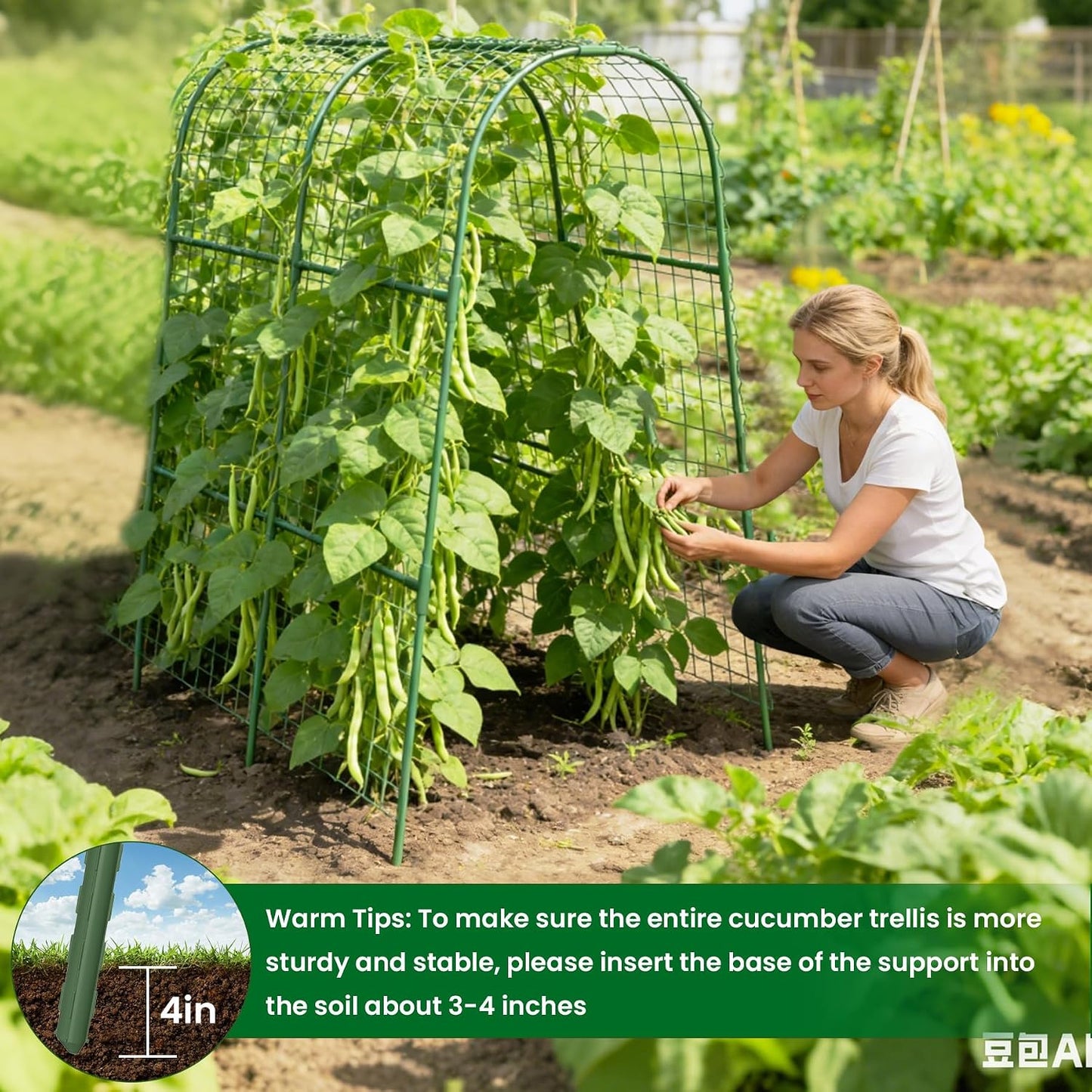 Cucumber Trellis for Raised Bed 48" L x 48" H U-Shape Garden Trellis for Climbing Plants Outdoor, Metal Arch Trellis for Vegetables, Plant Support for Tomato Pea Zucchini Grape Flowers