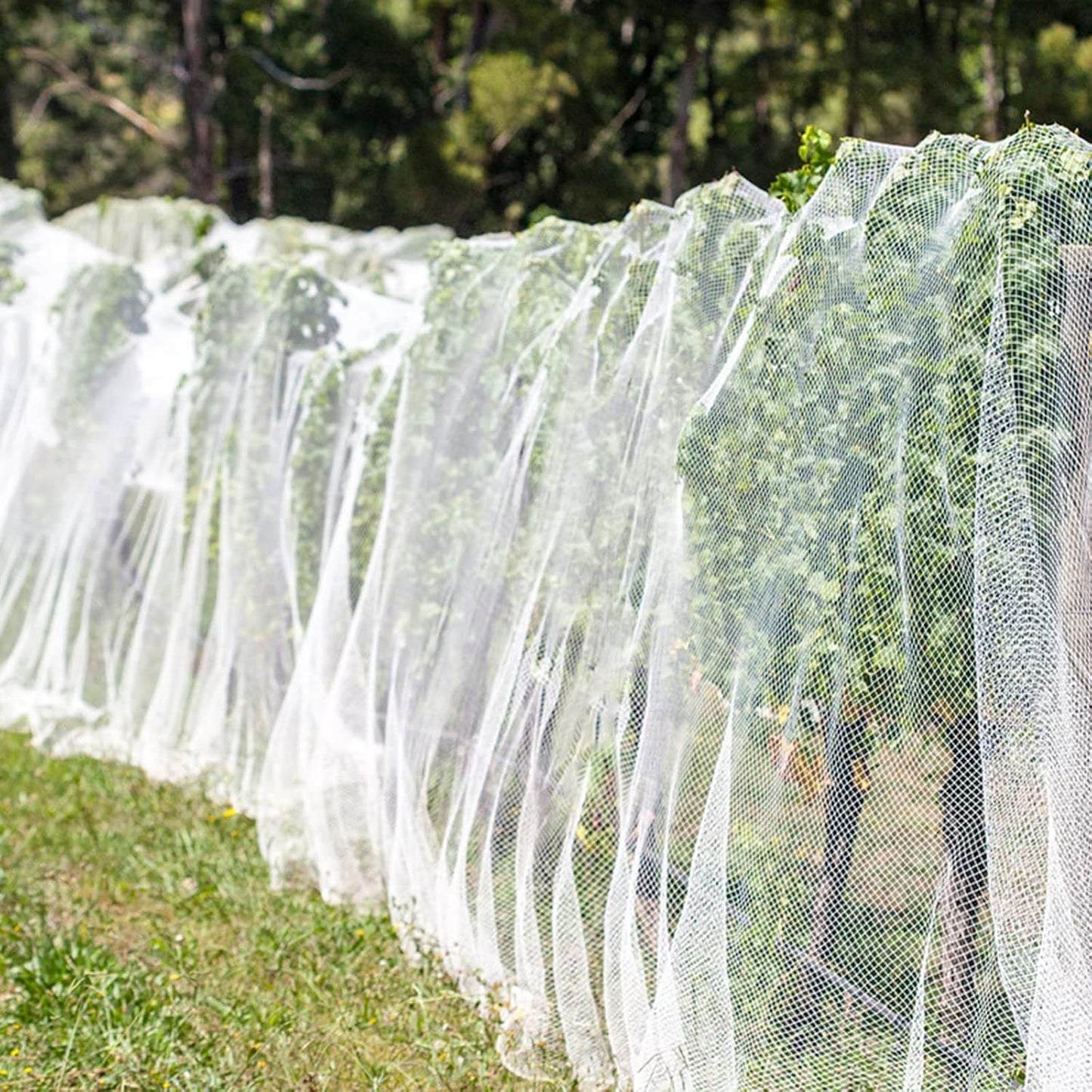 10'x12'Garden Netting, Bird Mosquito Netting Row Covers Bird Net