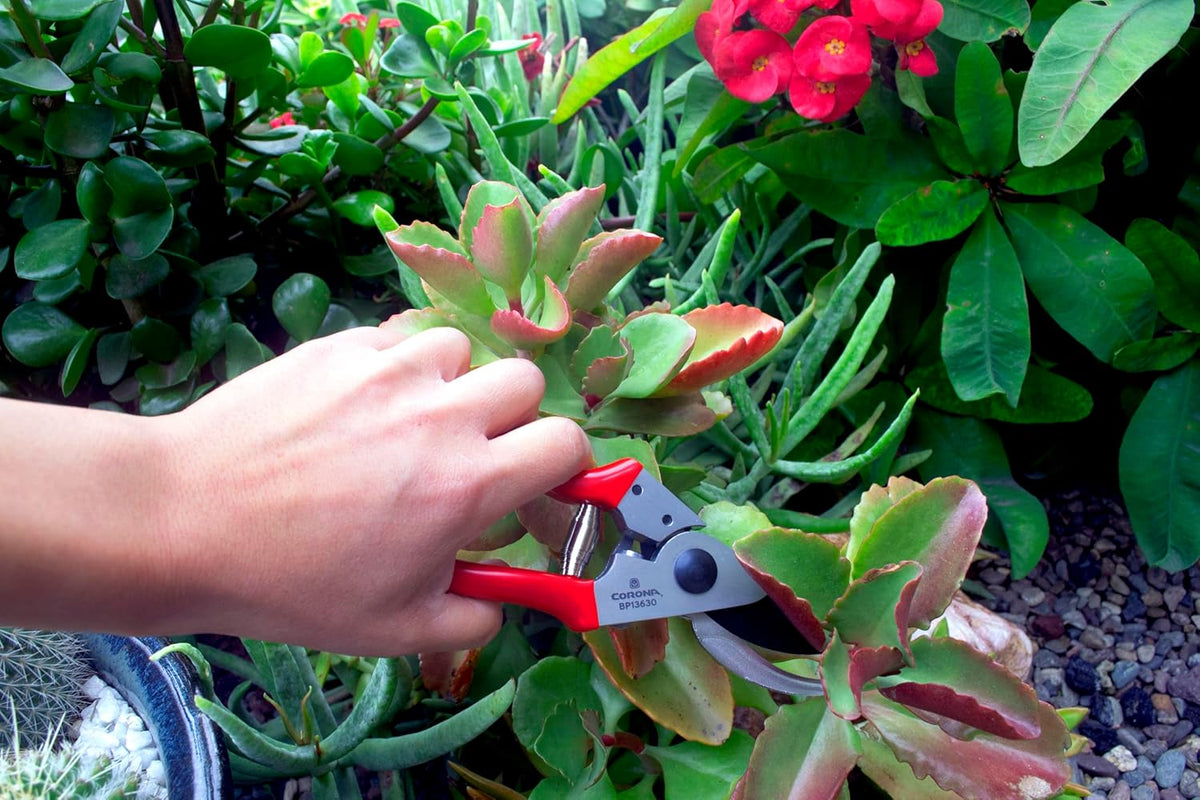 Yard Essentials Pocket Pruner
