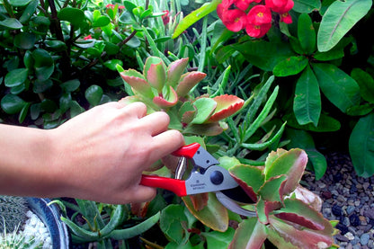 Yard Essentials Pocket Pruner