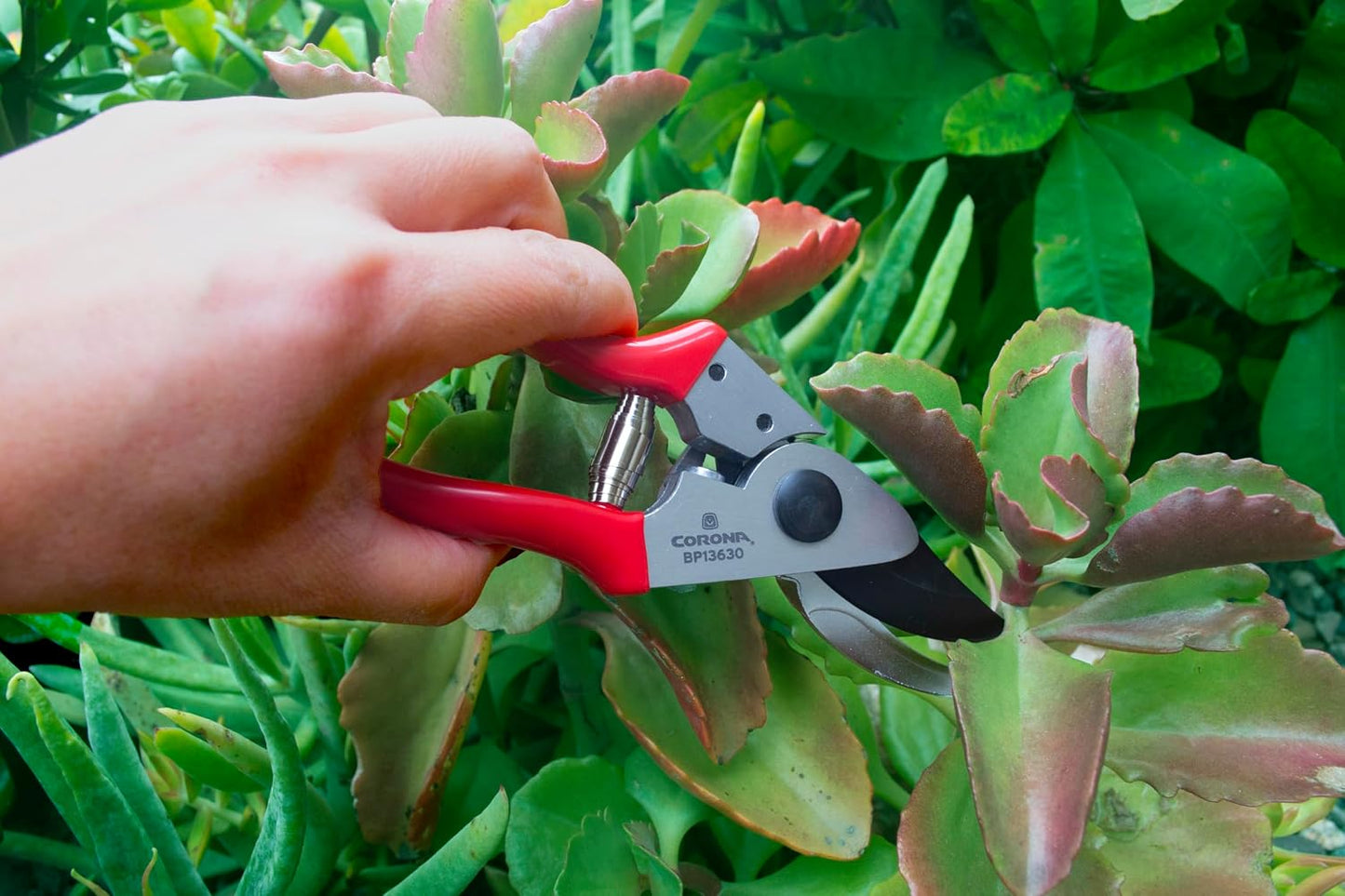 Yard Essentials Pocket Pruner