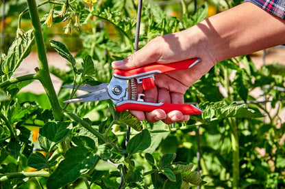 Yard Essentials Pocket Pruner