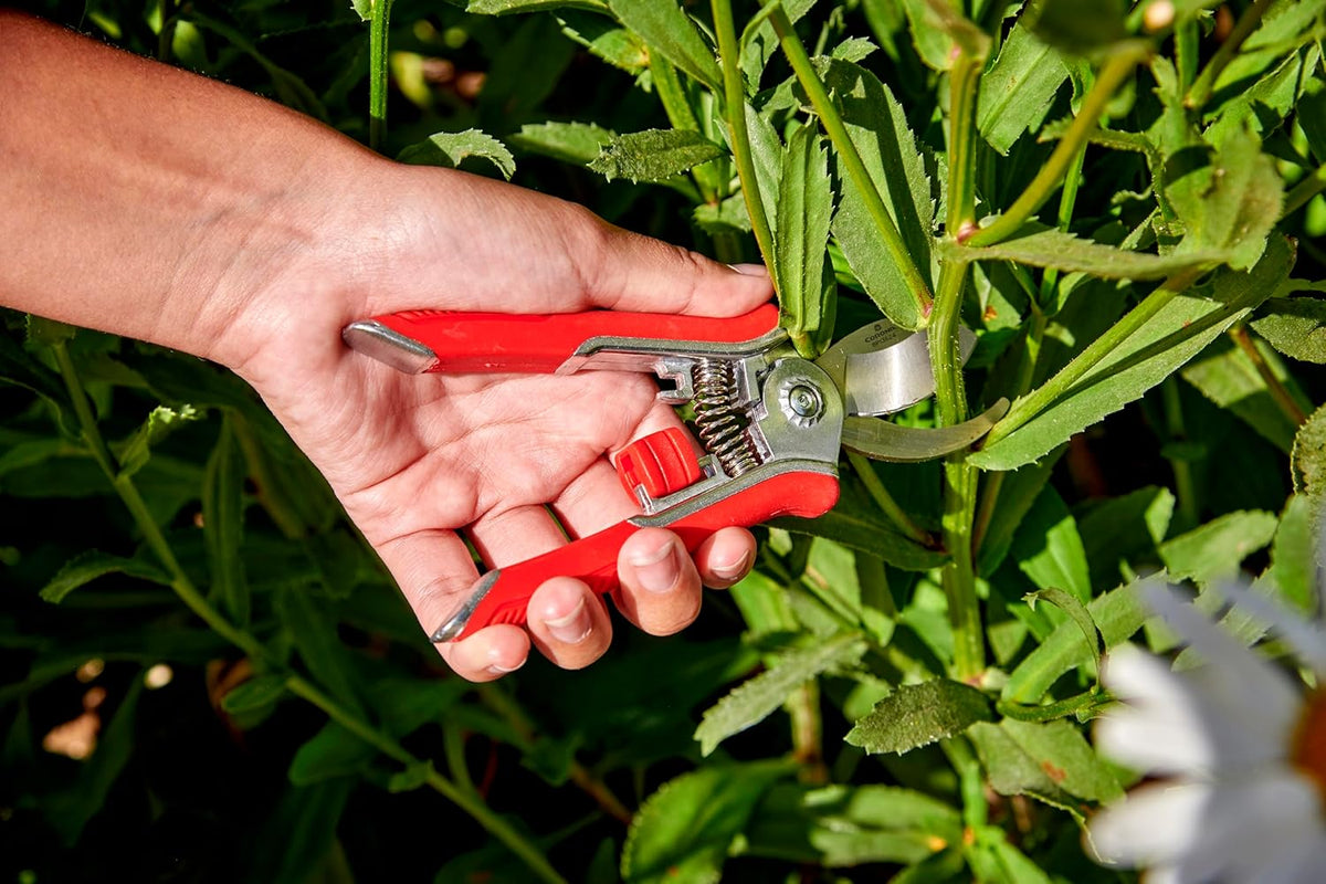 Yard Essentials Pocket Pruner