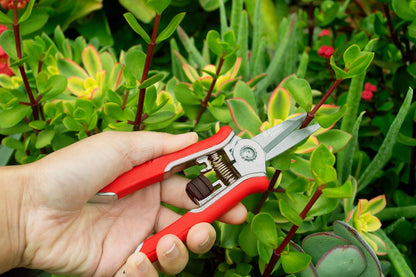 Yard Essentials Pocket Pruner