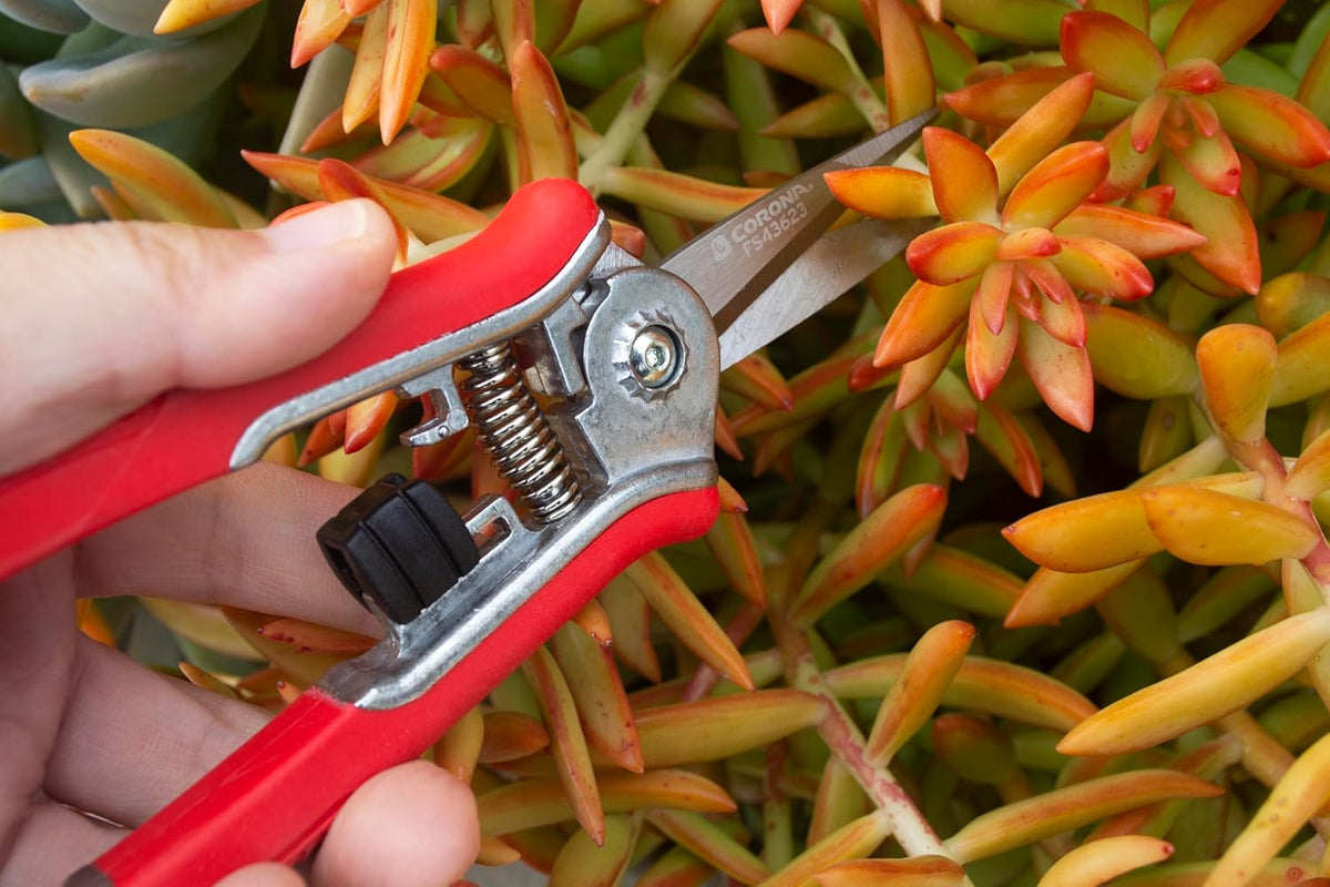 Yard Essentials Pocket Pruner