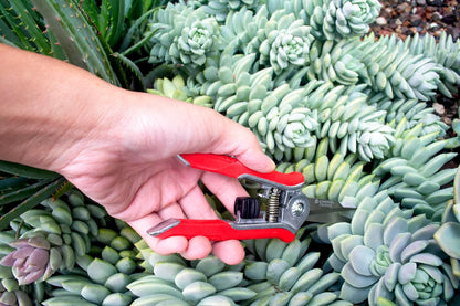 Yard Essentials Pocket Pruner
