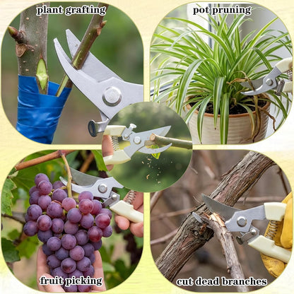 12 Pcs Floral Shears, Stainless Steel Pruning Shears Sharp Handheld Garden Shear Heavy Duty Plant Scissors for Trimming Plants, Cutting Flowers, Yard Gardening