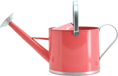 Classic Shiny Galvanized Metal Watering Can, Easy-Pour, Indoor and Outdoor, 1.3 gal, Shiny Galvanized Metal
