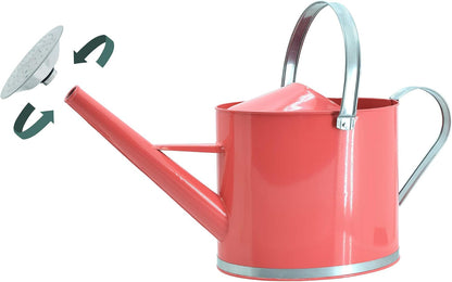 Classic Shiny Galvanized Metal Watering Can, Easy-Pour, Indoor and Outdoor, 1.3 gal, Shiny Galvanized Metal