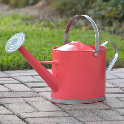 Classic Shiny Galvanized Metal Watering Can, Easy-Pour, Indoor and Outdoor, 1.3 gal, Shiny Galvanized Metal