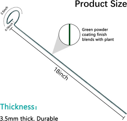 Thealyn 12 Pack 16 Inch Plant Support Stakes, Metal Single stemmed Flower Support Hoops，Garden Plant Stakes Plant Prop for Amaryllis Orchid Lily Rose Peony Tomatoes Gladiolus